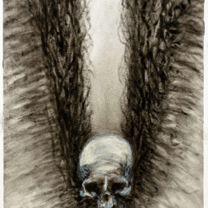 Fallen, original drawing by John Chen Artist