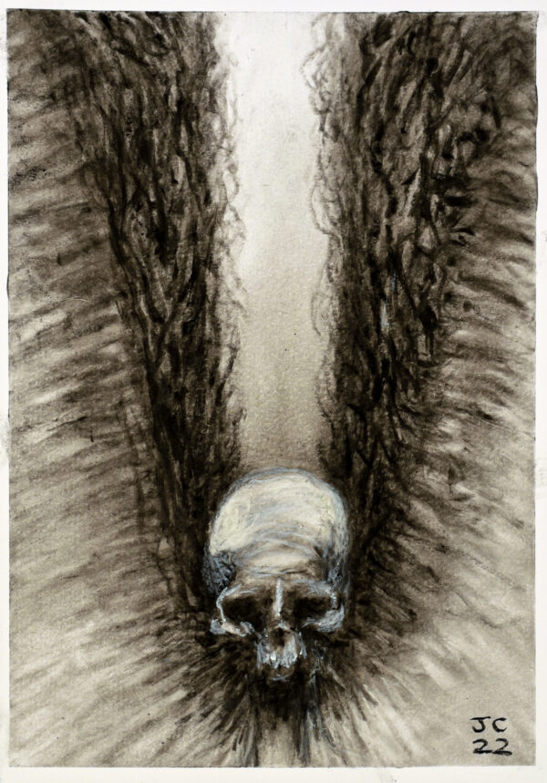 Fallen, original drawing by John Chen Artist